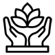 DFNT® Chiropractic Therapy | Holistic Approach